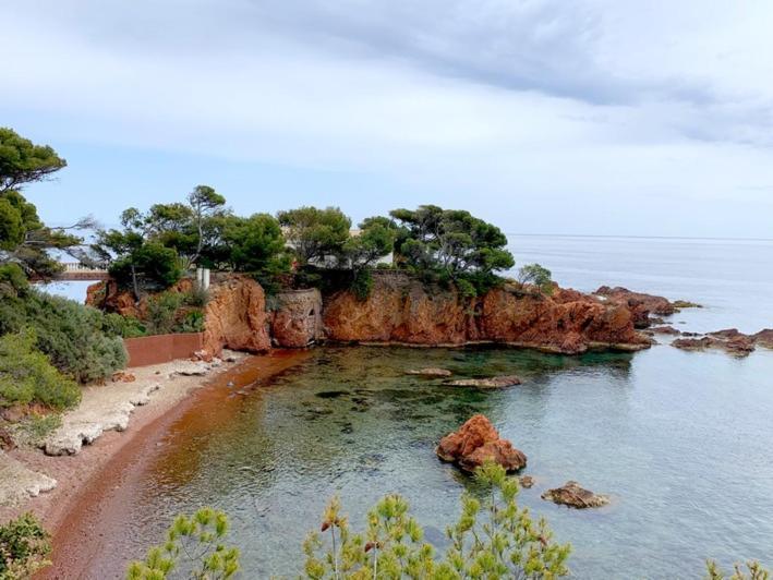 Appartement Vue Mer Domaine Arbore Saint-Raphaël Eksteriør bilde